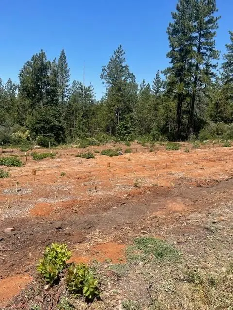 0 Providence Way, Dobbins, CA 95935 - Image #3