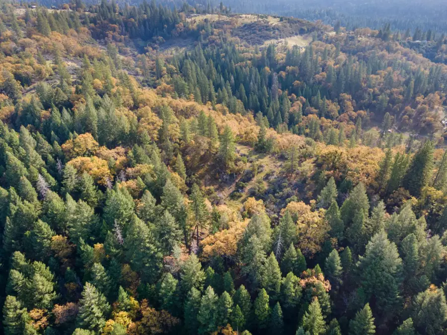 0 Apn#077-021-035-000, Pollock Pines, CA 95726 - Image #2