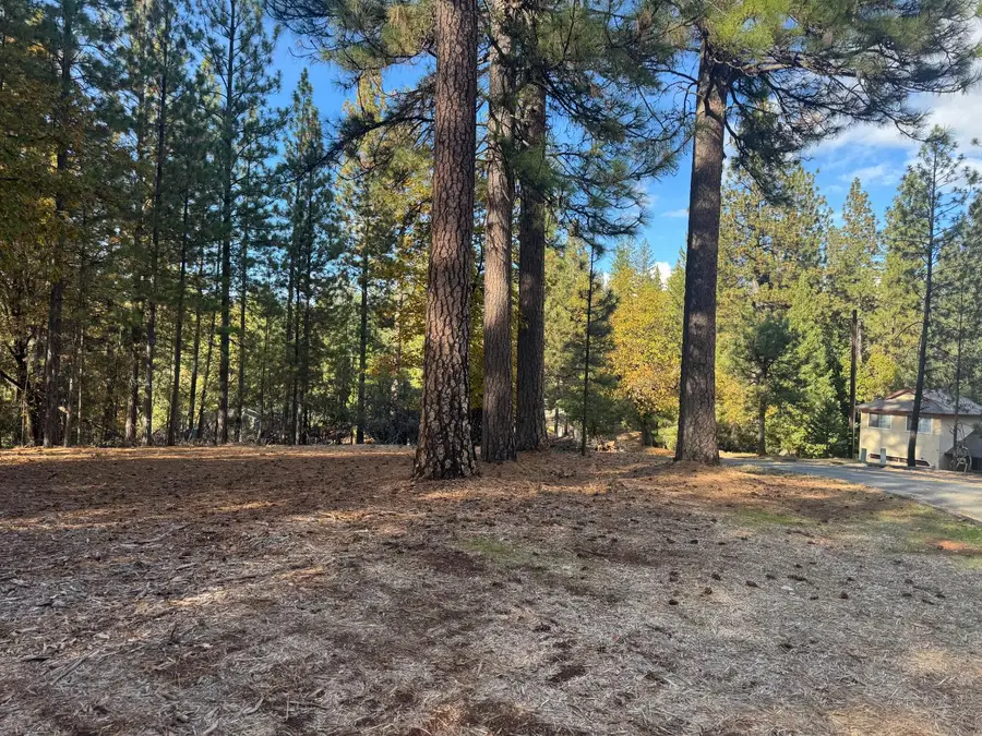 6364 Green Leaf Lane, Foresthill, CA 95631 - Image #2