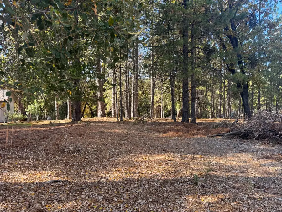 6364 Green Leaf Lane, Foresthill, CA 95631 - Image #3