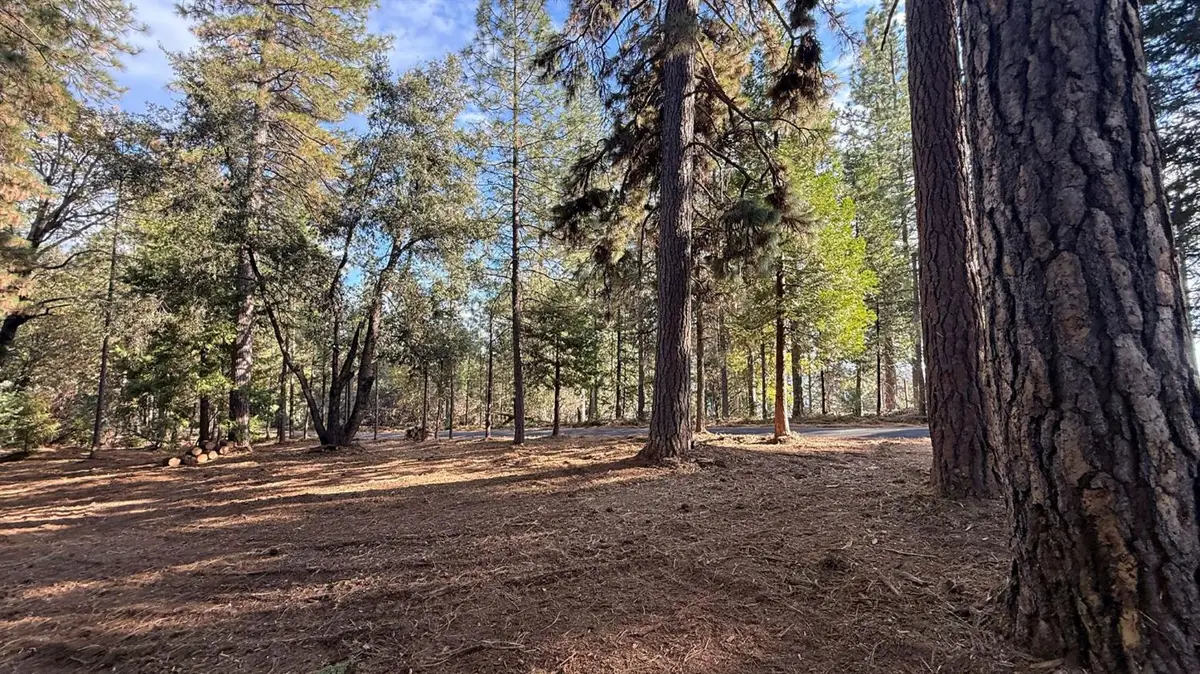 19045 Pine Drive, Pioneer, CA 95666 - Image #1