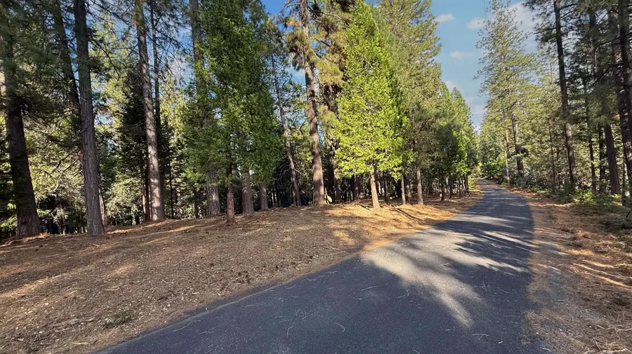 19045 Pine Drive, Pioneer, CA 95666 - Image #3