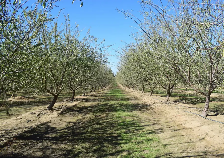 4610 Oakdale Road, Winton, CA 95388 - Image #3