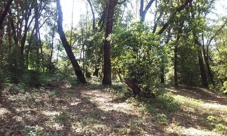 20676 Spring Garden Rd, Foresthill, CA 95631 - Image #1