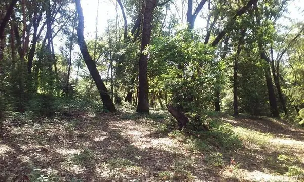 20676 Spring Garden Rd, Foresthill, CA 95631