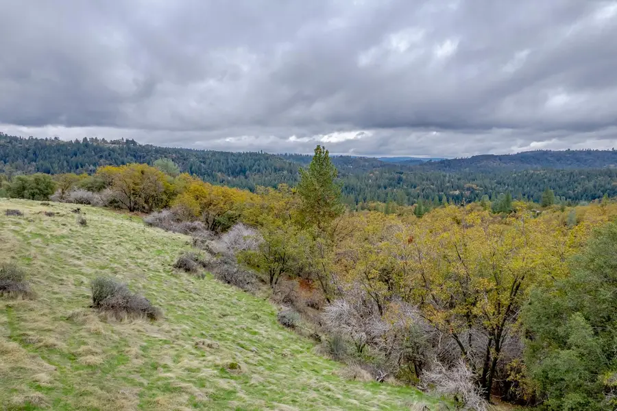 3841 Braden Road, Camino, CA 95709 - Image #2