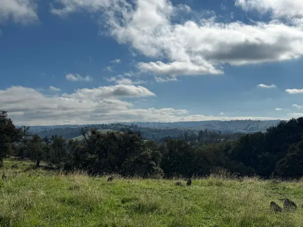 0 White Oak Road, Plymouth, CA 95669