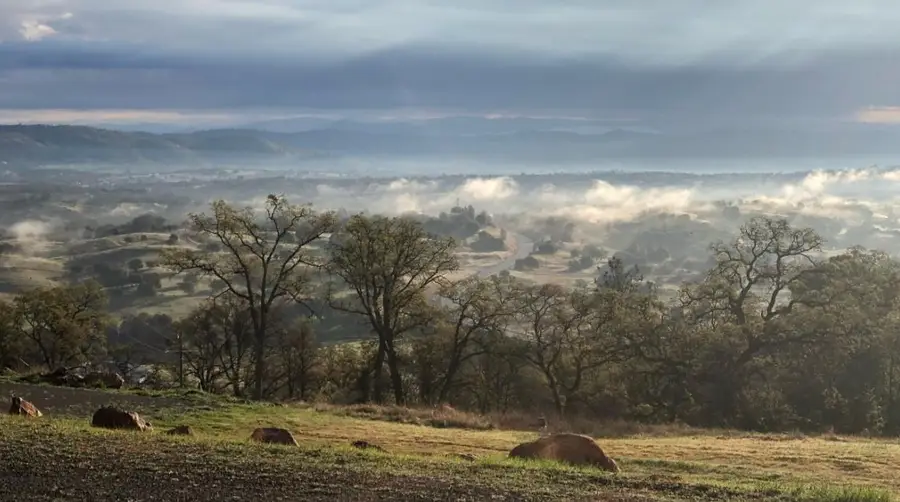 2460 Sulkey Court, Copperopolis, CA 95228 - Image #2