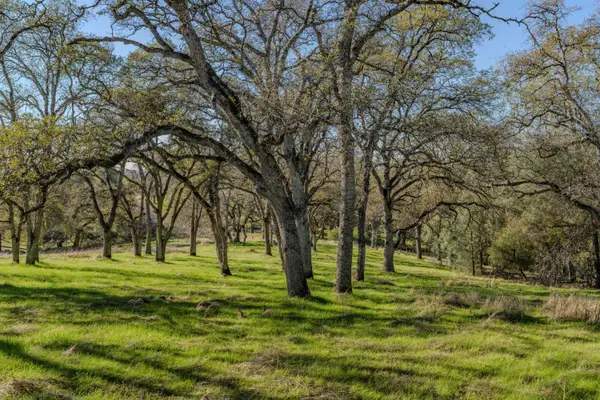 0 N Oak Ridge Circle, El Dorado, CA 95623