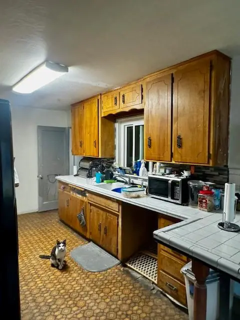 142 Camellia Way, Modesto, CA 95354 - Image #3