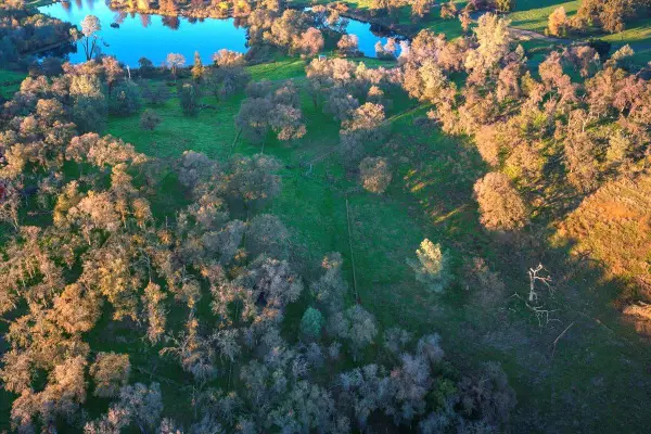 0 Garden Bar Road, Lincoln, CA 95648