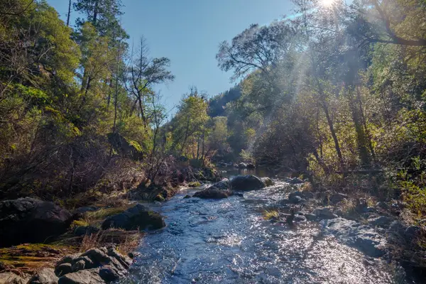 15747 Frenchtown Road, Brownsville, CA 95919