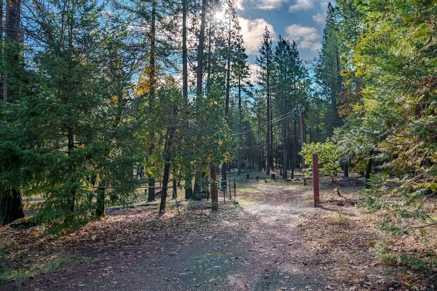 15747 Frenchtown Road, Brownsville, CA 95919 - Image #3