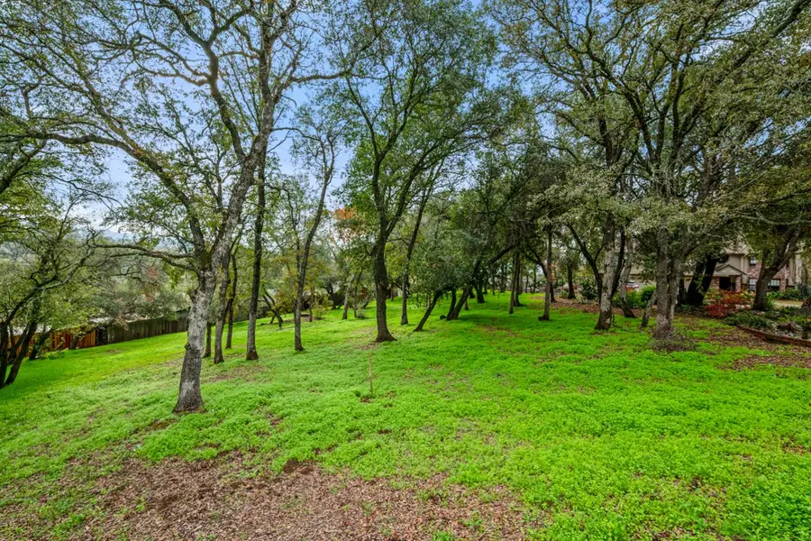0 Maul Oak Court, El Dorado Hills, CA 95762 - Image #3