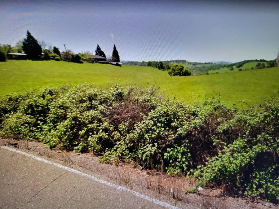 319 Laurel Drive, Jackson, CA 95642 - Image #2