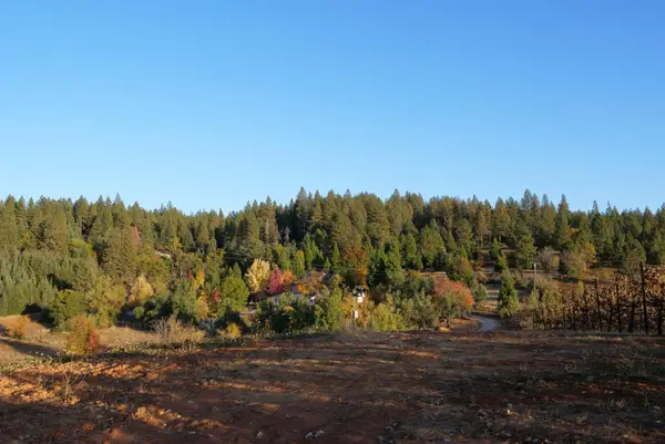 2635 Cleese Road, Camino, CA 95709