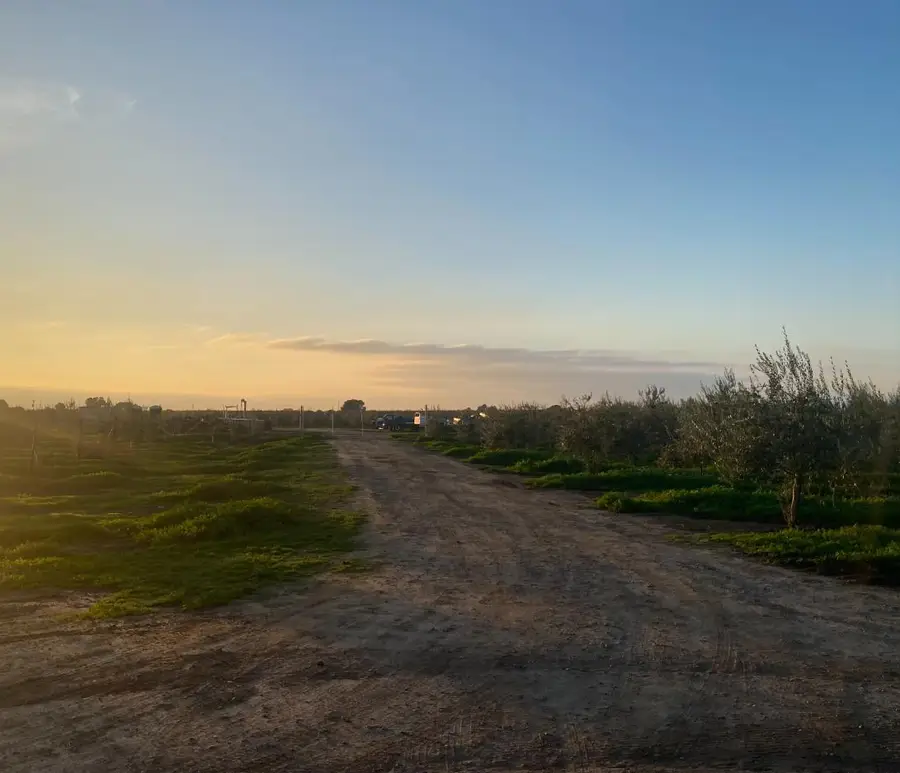 23181 N Devries Road, Lodi, CA 95242 - Image #2