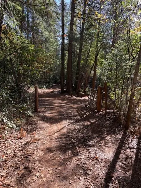 17537 Black Oak Way, Brownsville, CA 95919 - Image #2