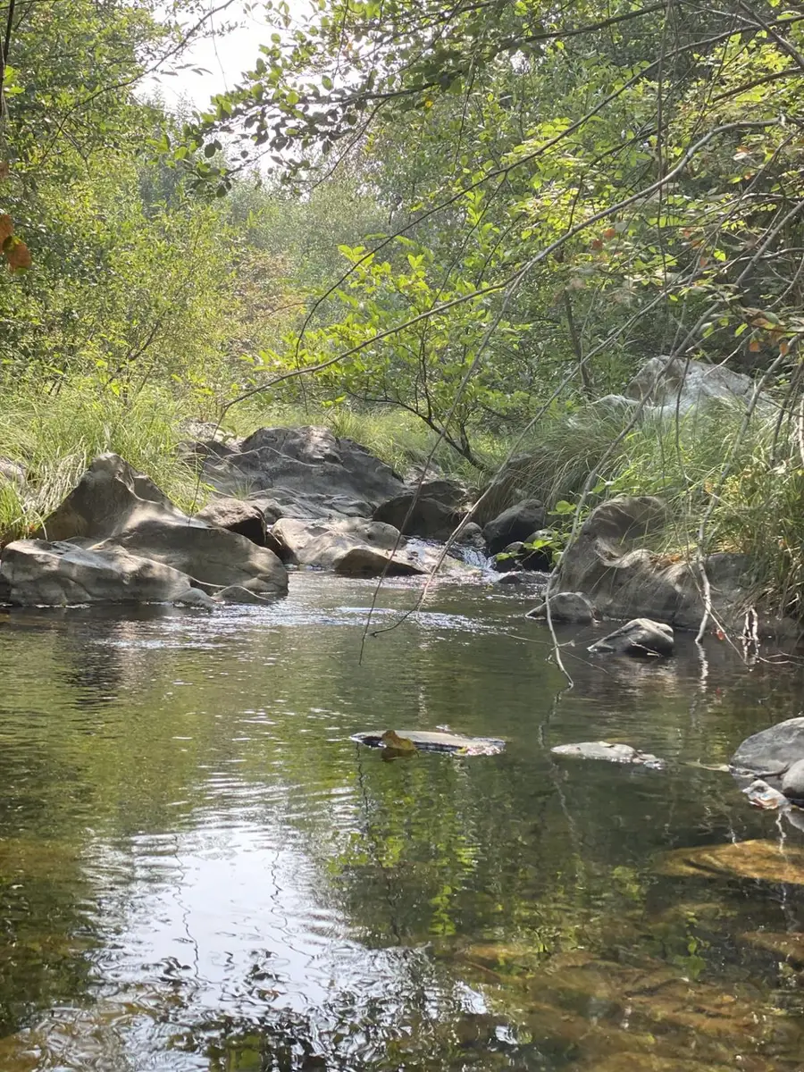 3440 Forni Road, Placerville, CA 95667 - Image #3