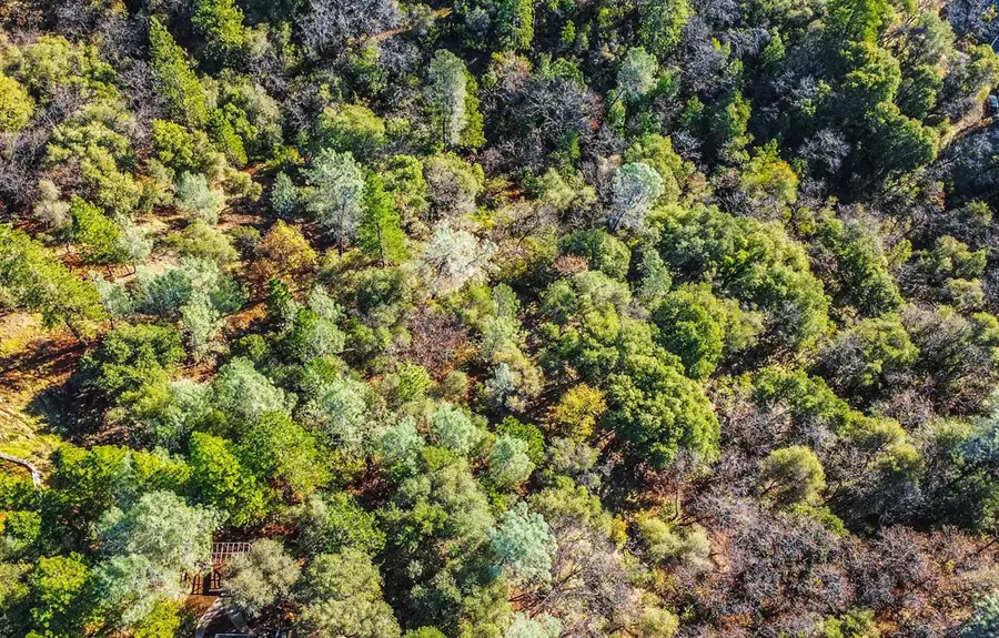 0 Bowman Road, Pine Grove, CA 95665 - #3