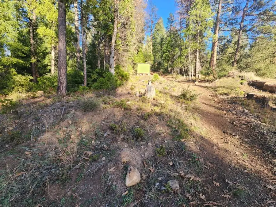 1919 Lily Valley Circle, West Point, CA 95255 - Image #2