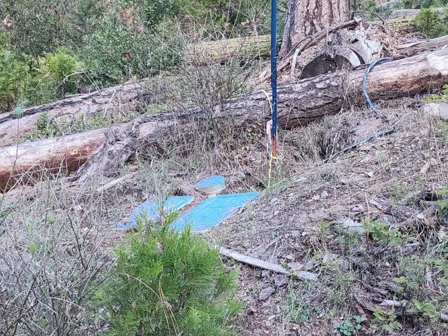 1919 Lily Valley Circle, West Point, CA 95255 - Image #3