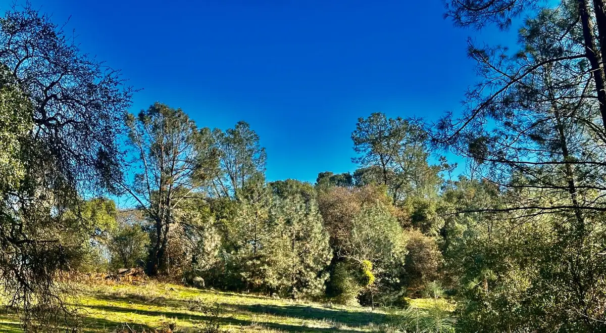 7317 La Porte Road, Rackerby, CA 95972 - Image #1