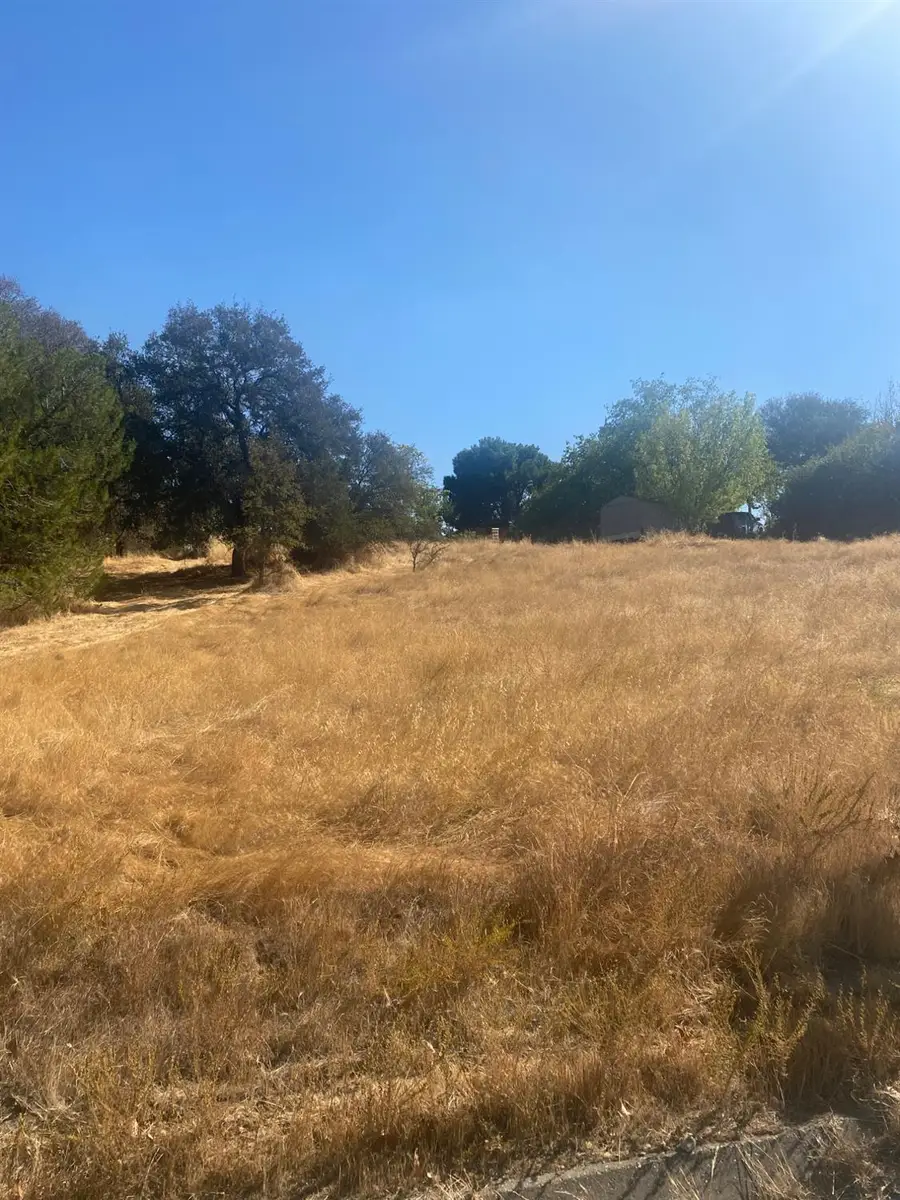 3241 Hartvickson Lane, Valley Springs, CA 95252 - Image #3