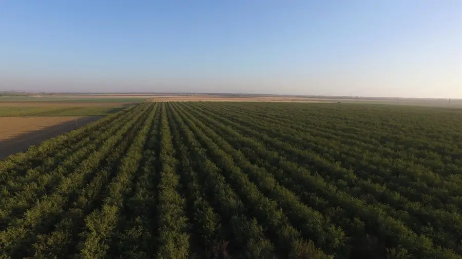 0 Road 16, Zamora, CA 95698 - Image #2