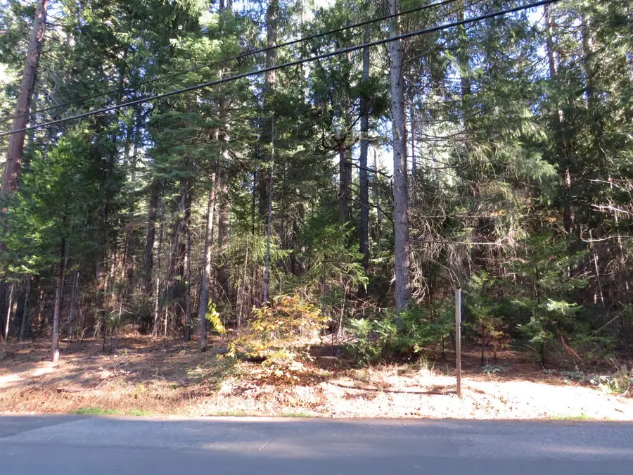 0 Alta Power House Road, Alta, CA 95701 - Image #3