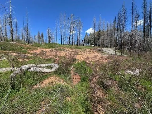 4963 Deertrack Court, Grizzly Flats, CA 95636 - Image #2