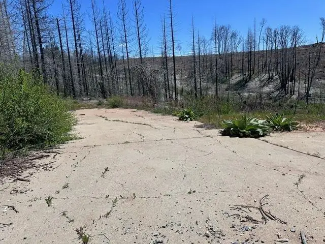 4963 Deertrack Court, Grizzly Flats, CA 95636 - Image #3