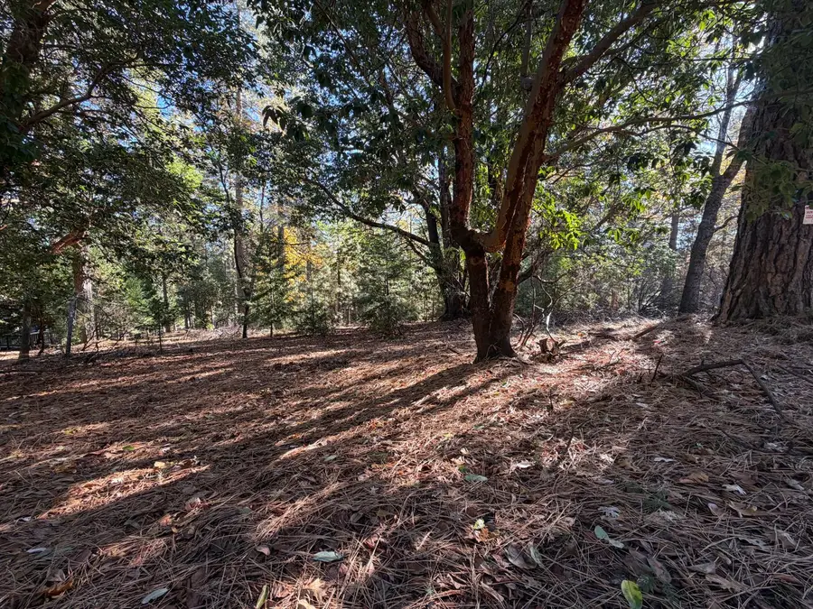 17686 S Mace Drive, Pioneer, CA 95666 - Image #2