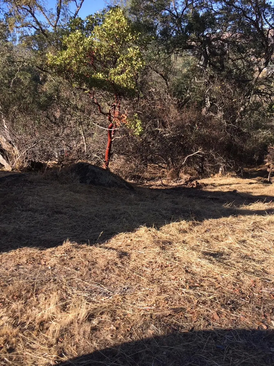 4983 Pueblo Tr, Copperopolis, CA 95228 - Image #2