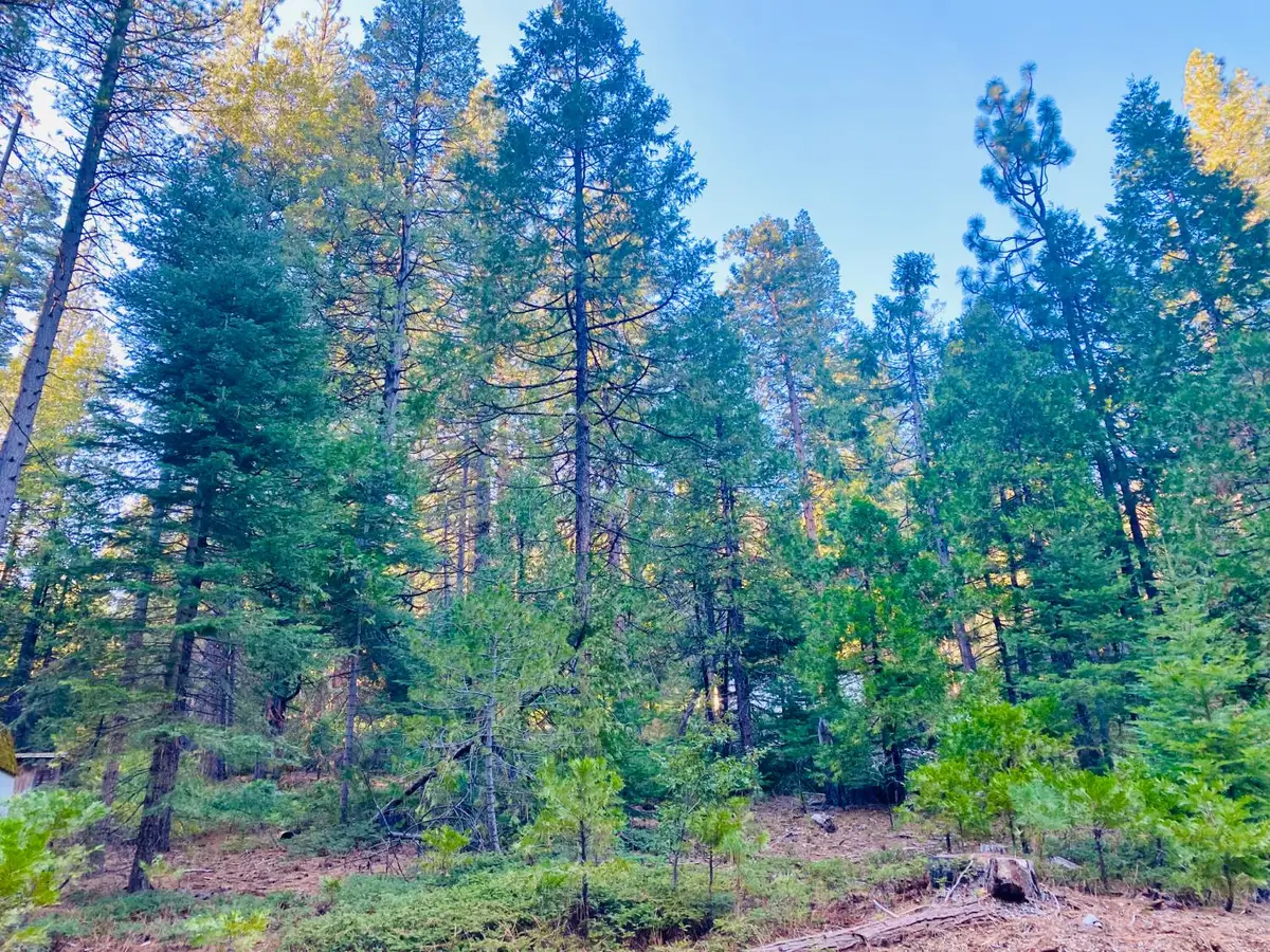 1557 Lily Valley Cir., West Point, CA 95255 - Image #1