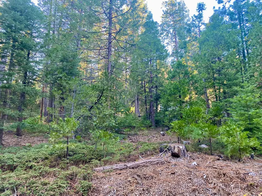 1557 Lily Valley Cir., West Point, CA 95255 - Image #3