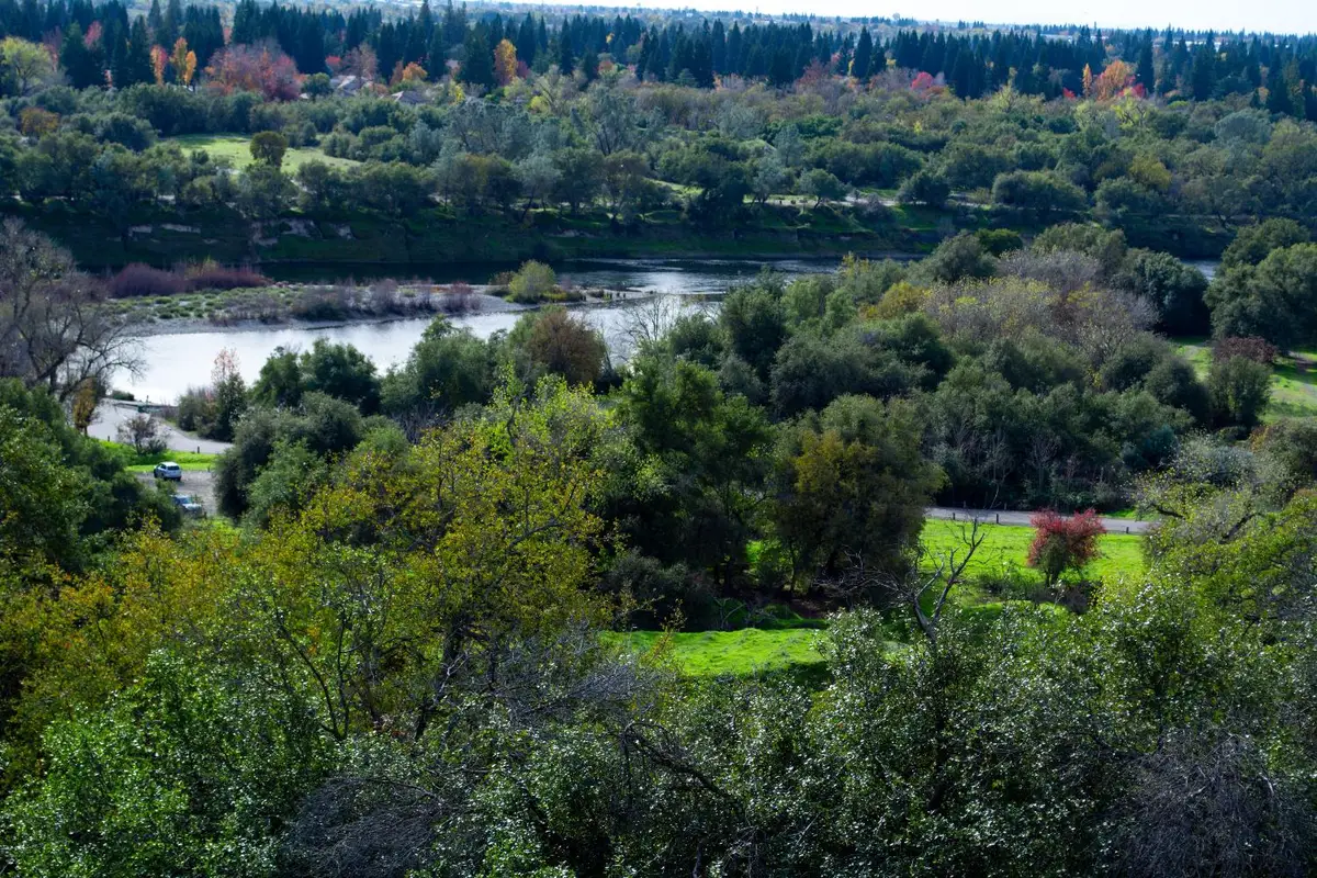 8732 Bluff Lane, Fair Oaks, CA 95628 - Image #1