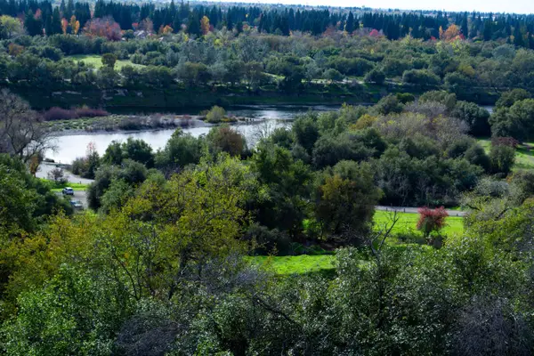 8732 Bluff Lane, Fair Oaks, CA 95628