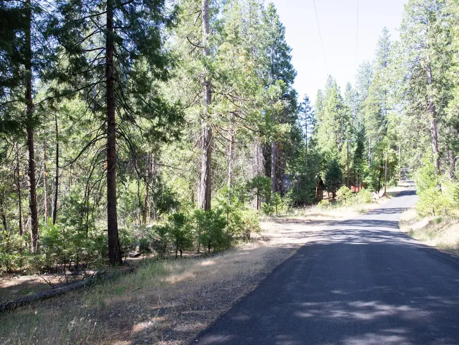 0 Spring Court, Pioneer, CA 95666 - Image #2