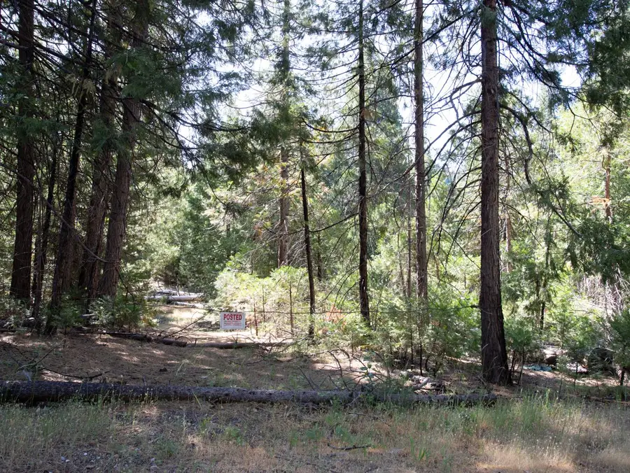 0 Spring Court, Pioneer, CA 95666 - Image #3