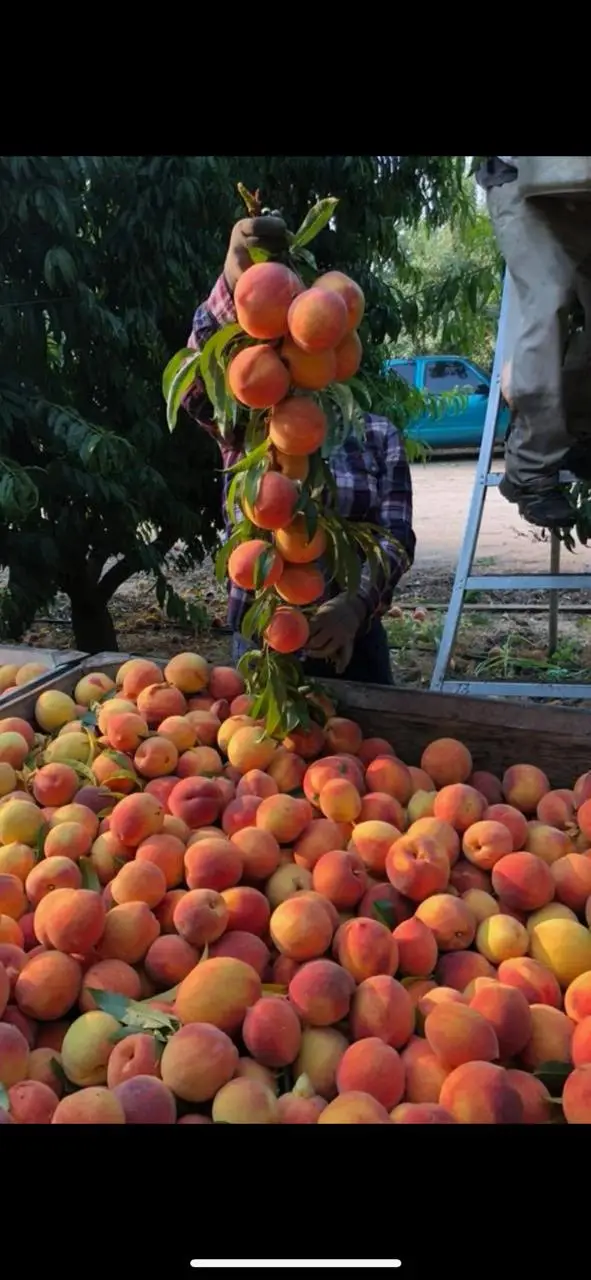 0 Tanaka, Livingston, CA 95334 - Image #2