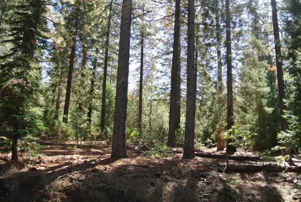 43 Foresthill Road, Foresthill, CA 95631