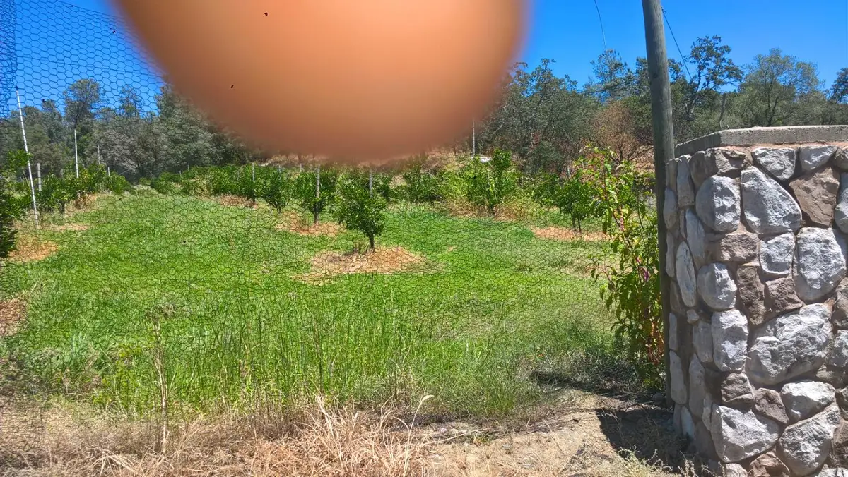 741 Eclipse Mine, Auburn, CA 95603 - Image #1