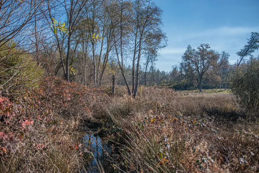 8545 Country Hills Lane, Cool, CA 95614 - Image #2