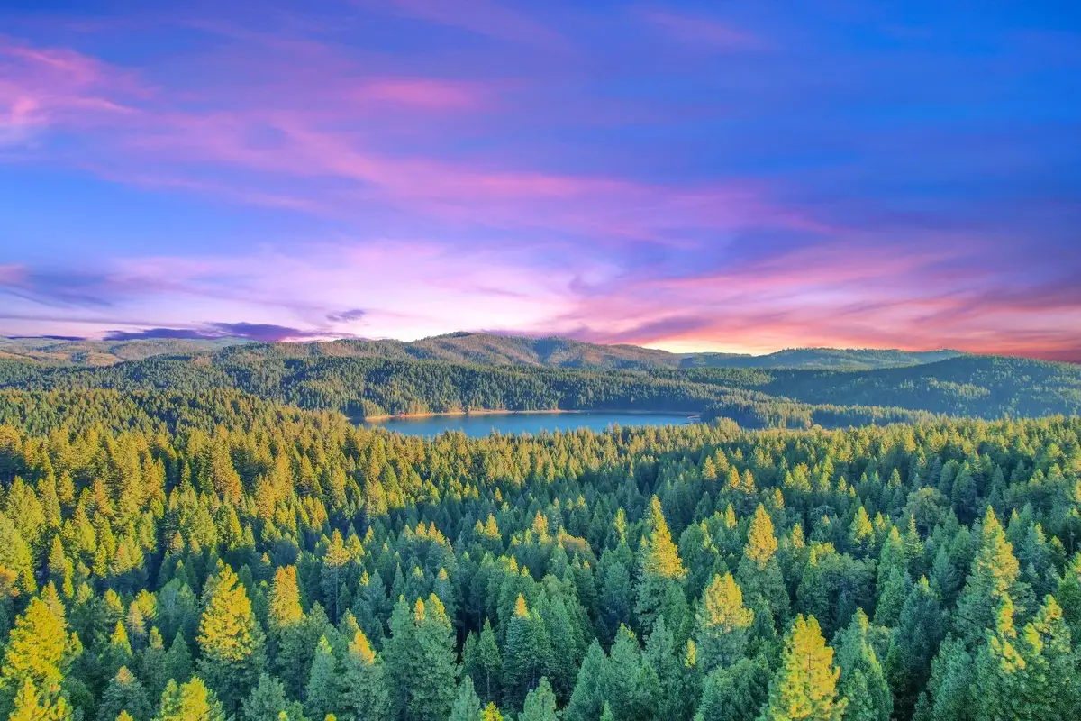 0 4440 Sly Park Rd, Pollock Pines, CA 95726 - #1