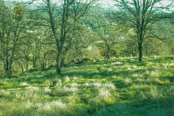 10597 Enramada Drive, La Grange, CA 95329