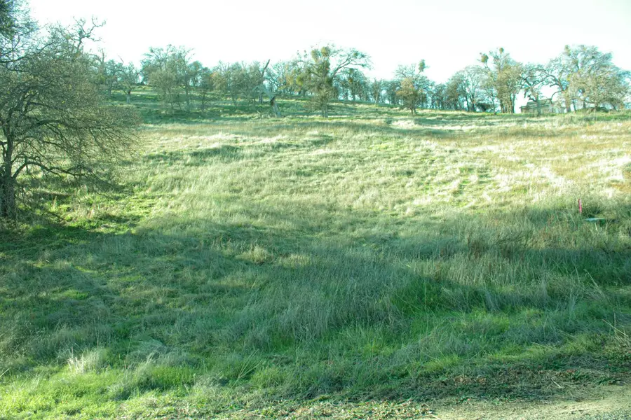 10597 Enramada Drive, La Grange, CA 95329 - Image #2