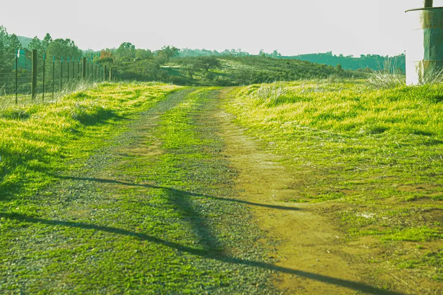 2296 Azucena Court, La Grange, CA 95329 - Image #2