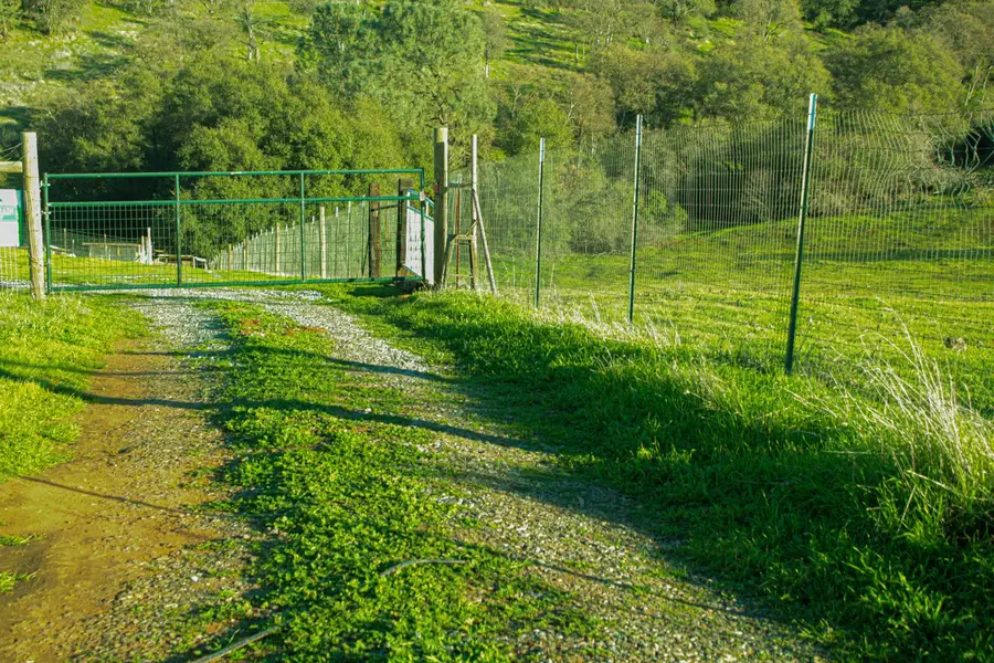 2296 Azucena Court, La Grange, CA 95329 - Image #3