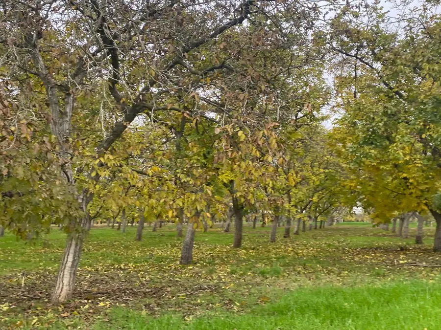 10201 E Fairchild Road, Stockton, CA 95215 - Image #2